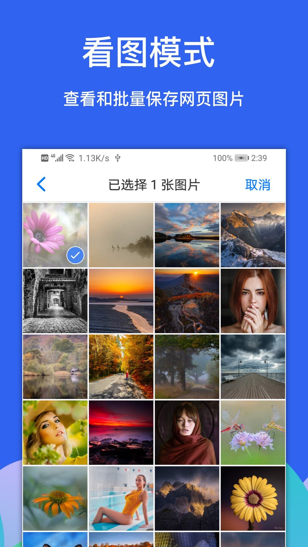 安卓Alook浏览器插图 安卓Alook浏览器插图